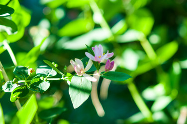 Similar image 2832766