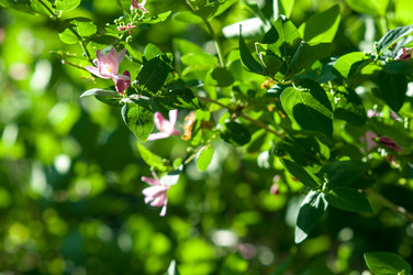 Similar image 2832767