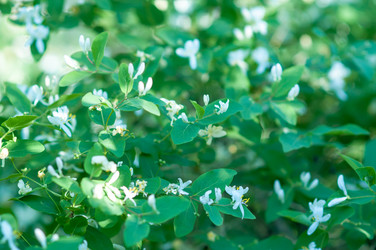 Similar image 2832768