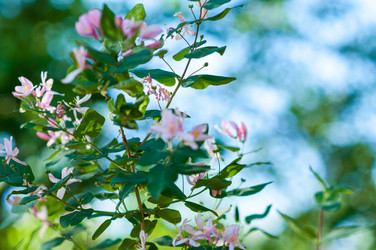 Similar image 2832772