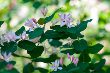 Similar image 2832773