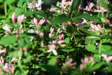 Similar image 2832774