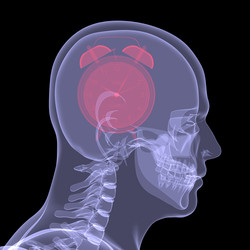 Similar image 2832861