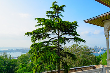 Similar image 2832870