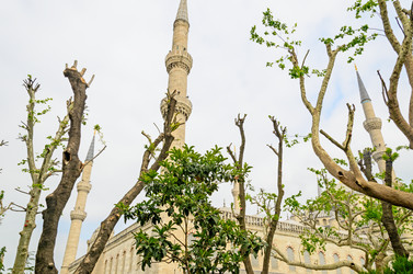 Similar image 2832873