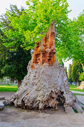 Similar image 2832879