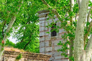 Similar image 2832886