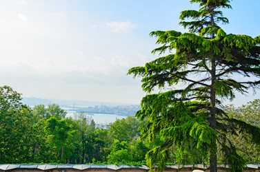 Similar image 2832892