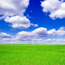 Similar image 2832901