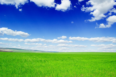 Similar image 2832985