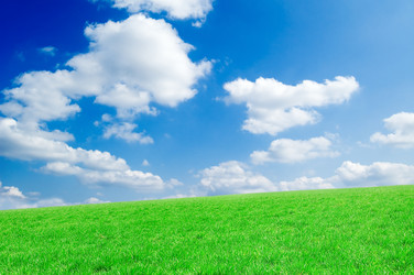 Similar image 2832987