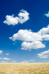 Similar image 2833002