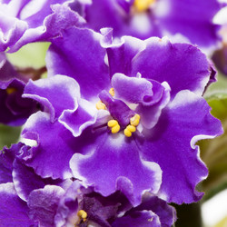 Similar image 2833009