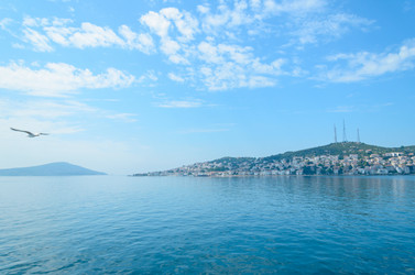 Similar image 2833013