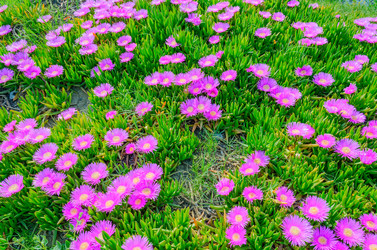 Similar image 2833017