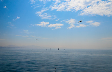 Similar image 2833023