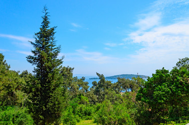 Similar image 2833026