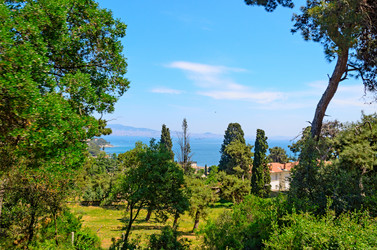 Similar image 2833027