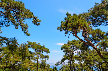 Similar image 2833028