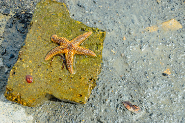 Similar image 2833030