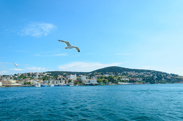 Similar image 2833031