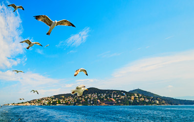 Similar image 2833033