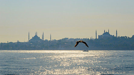 Similar image 2833034