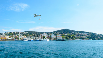 Similar image 2833039