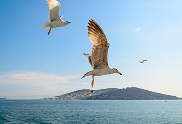 Similar image 2833042