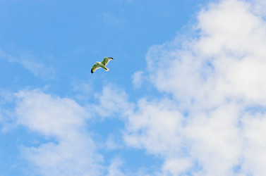 Similar image 2833043