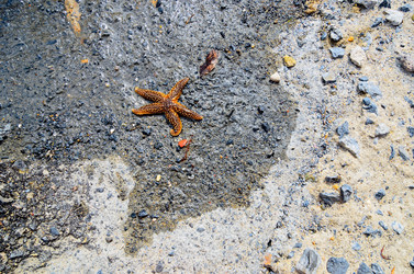 Similar image 2833044