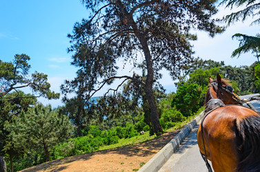 Similar image 2833051