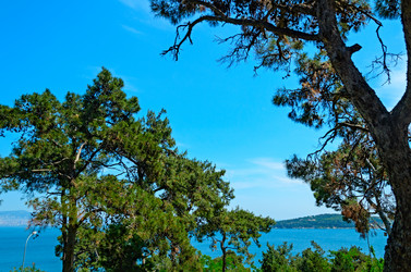 Similar image 2833058