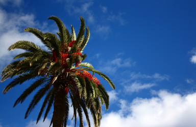 Similar image 2833229