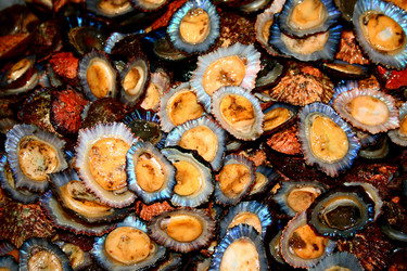 Similar image 2833230