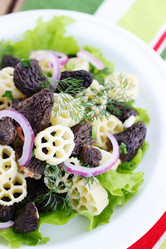 Similar image 2833241