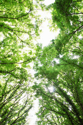 Similar image 2833250