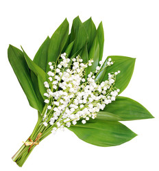 Similar image 2833252