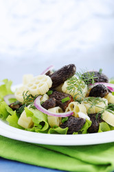 Similar image 2833272