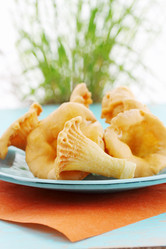 Similar image 2833274