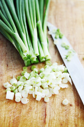 Similar image 2833277