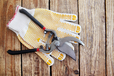 Similar image 2833281