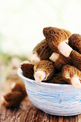 Similar image 2833286