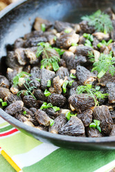 Similar image 2833298