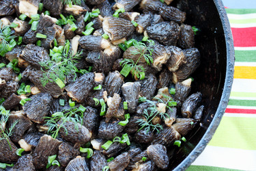 Similar image 2833300