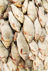 Similar image 2833325