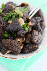 Similar image 2833347