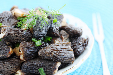 Similar image 2833348