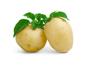 Similar image 2833707