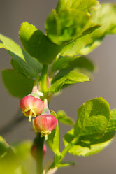 Similar image 2833722